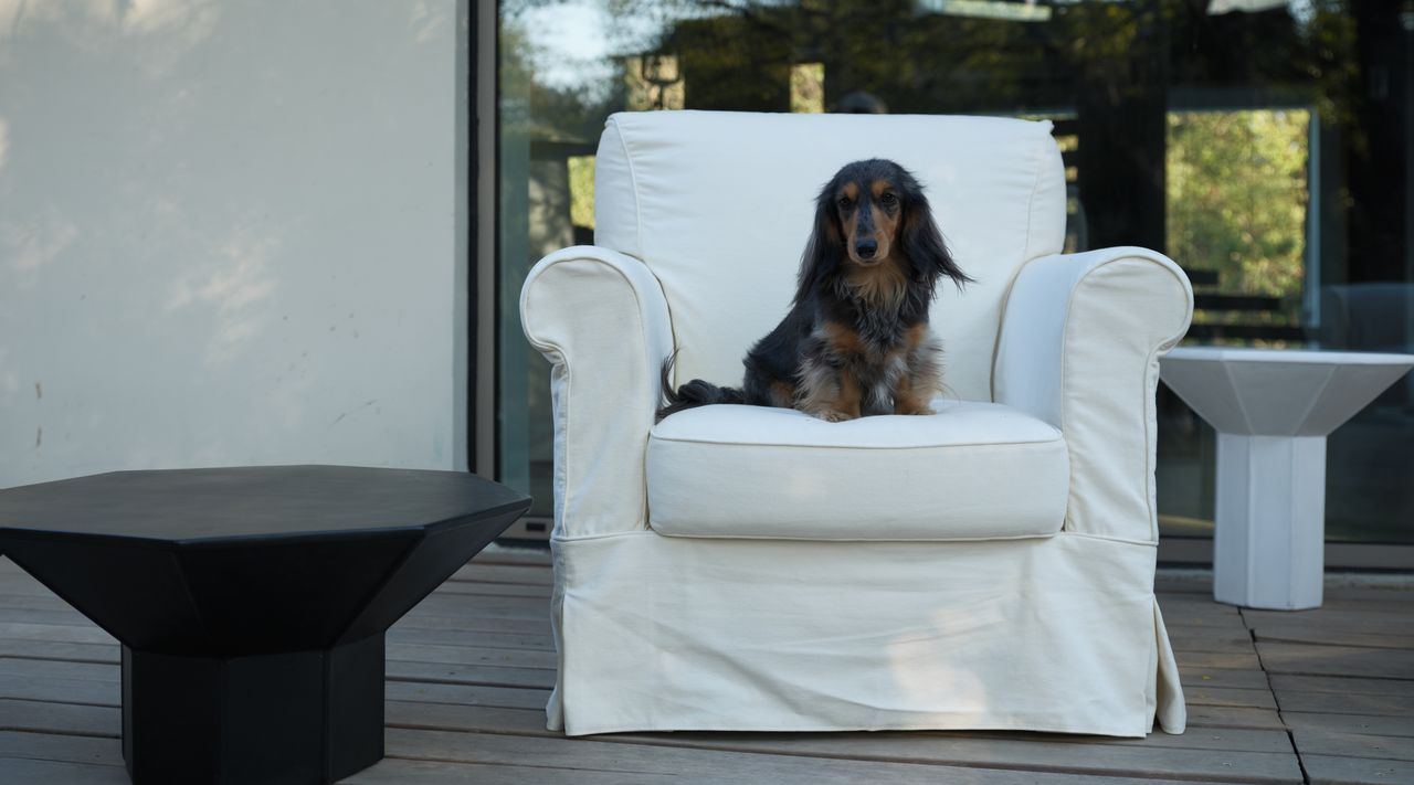 Essence — Sofa & Armchairs