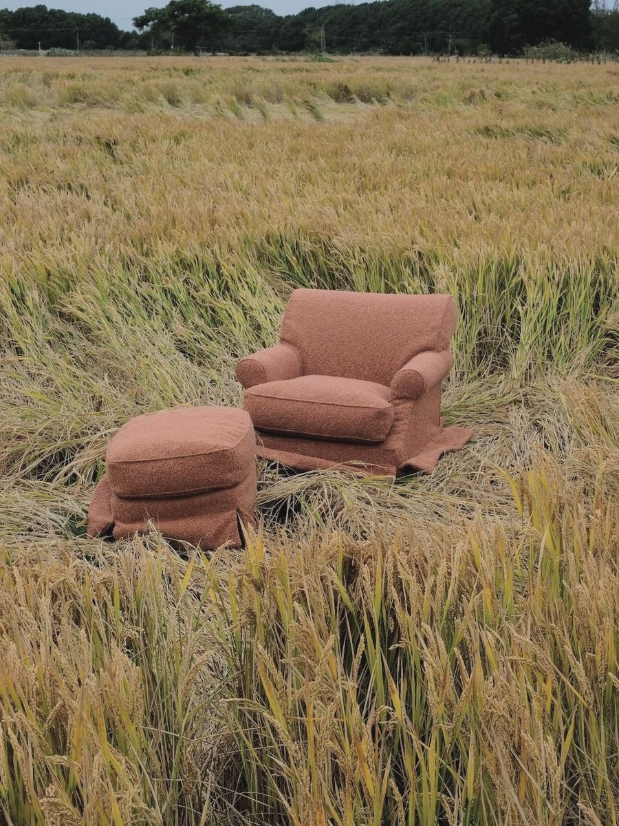 A terracotta armchair and ottoman sitting in a field of ripe rice